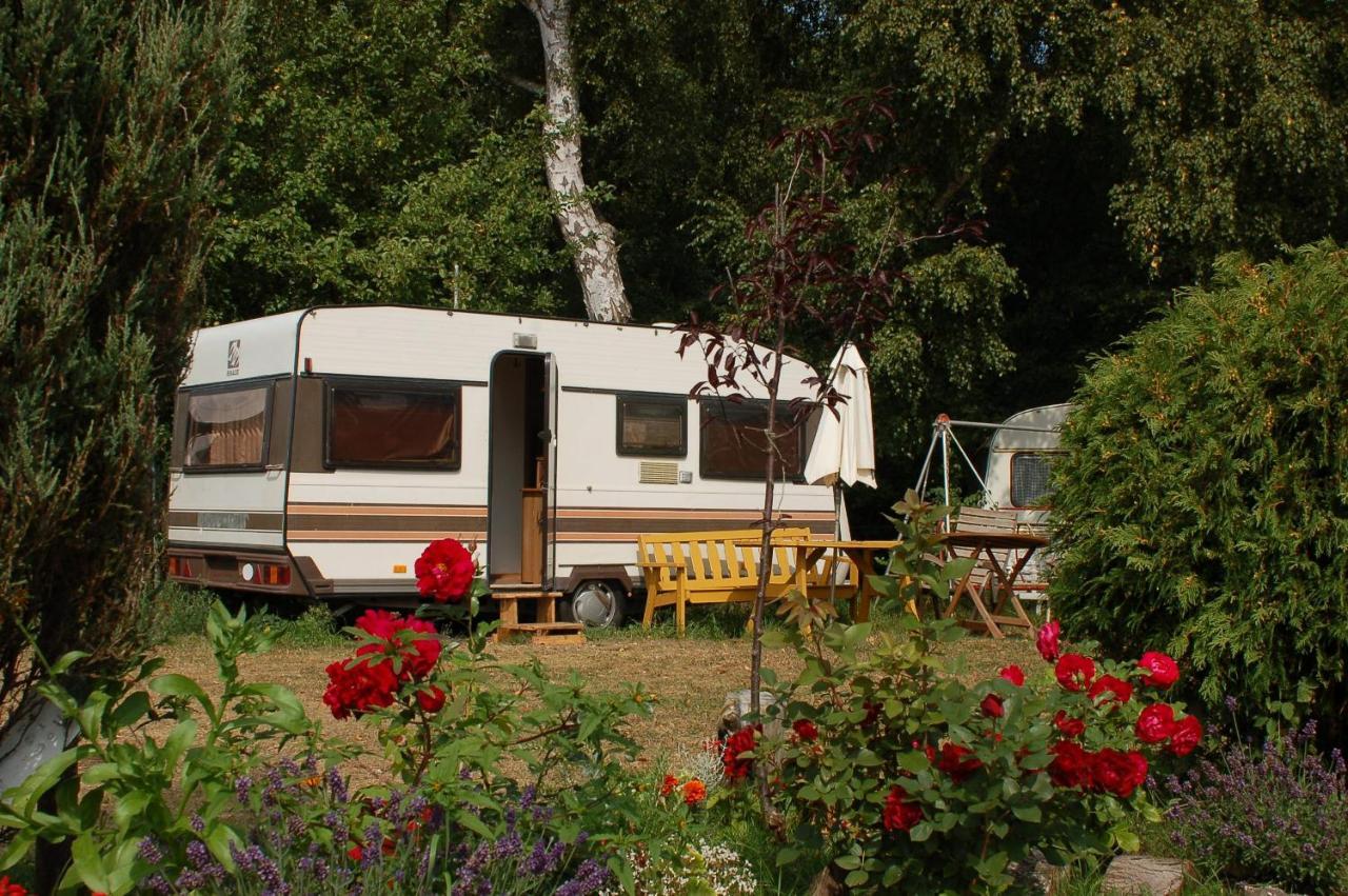 Camping Rogowo Mrzeżyno 外观 照片