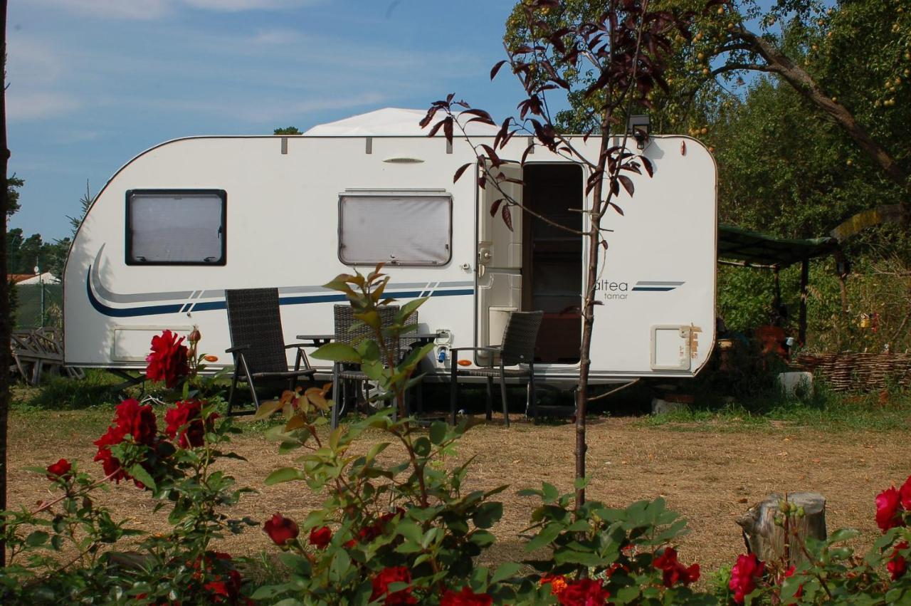 Camping Rogowo Mrzeżyno 外观 照片
