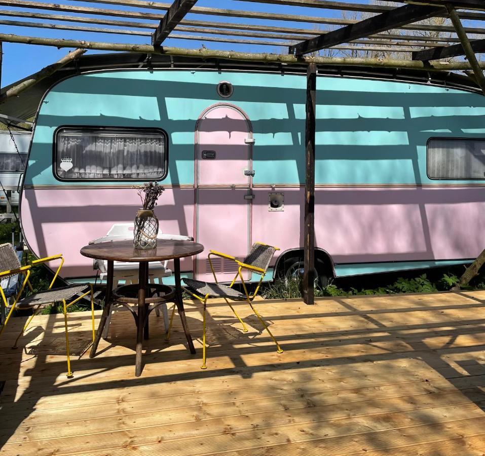 Camping Rogowo Mrzeżyno 外观 照片