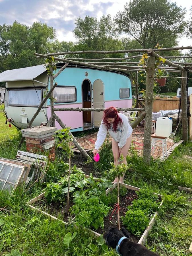 Camping Rogowo Mrzeżyno 外观 照片