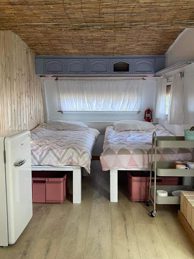 Camping Rogowo Mrzeżyno 外观 照片