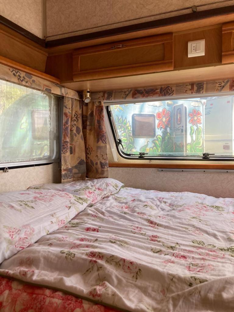 Camping Rogowo Mrzeżyno 客房 照片